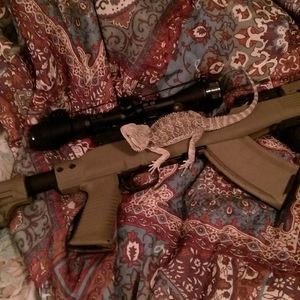 Meet your Posher, Kent